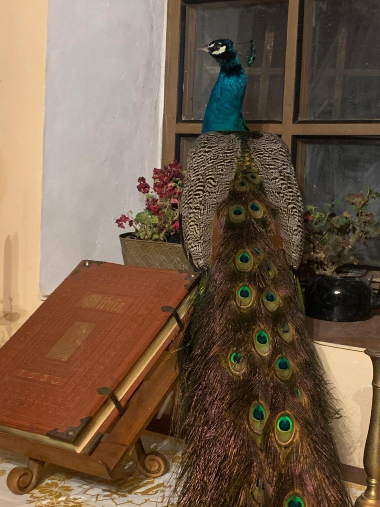 Chalupa Gretl Pohorsko Esterno foto